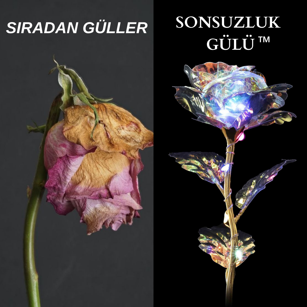Sonsuzluk Gülü