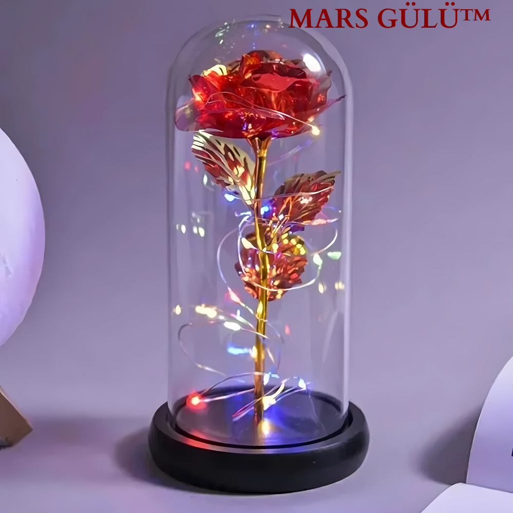 PELUCCE® Galaksi gülü (Fanuslu)
