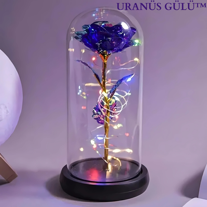 PELUCCE® Galaksi gülü (Fanuslu)