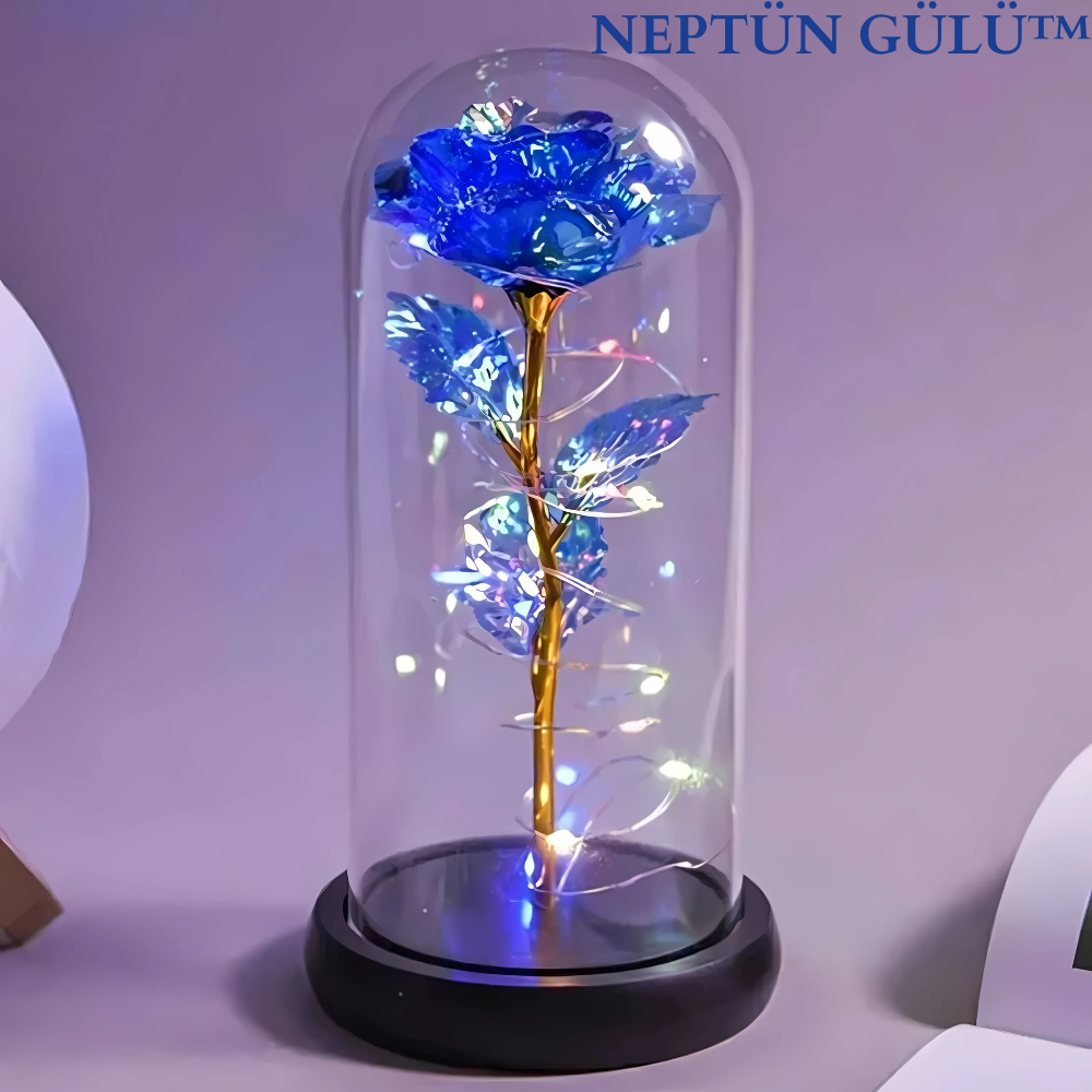 PELUCCE® Galaksi gülü (Fanuslu)