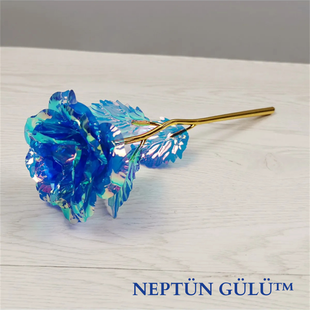 Sonsuzluk Gülü