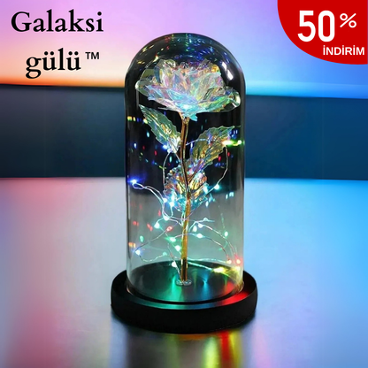PELUCCE® Galaksi gülü (Fanuslu)